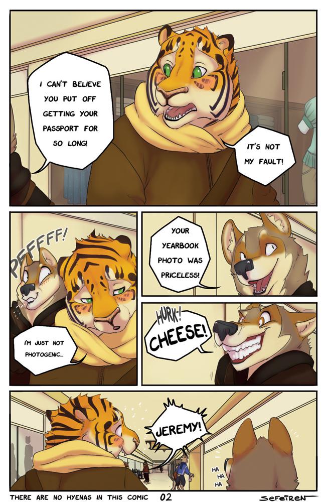 Page 3